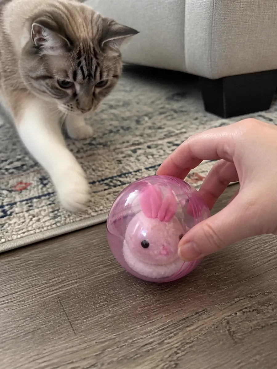 Gato de cliente acercándose a la pelota autorrodante rosa