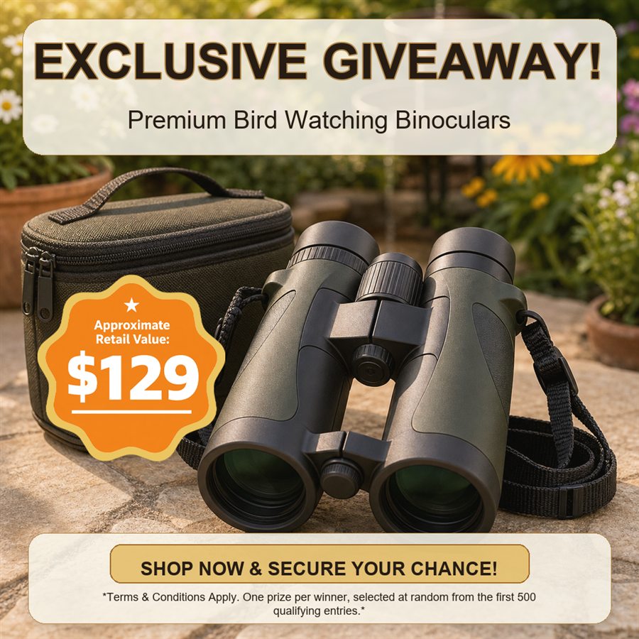 Exclusive giveaway premium bird watching binoculars gift with rain catcher bird bath order