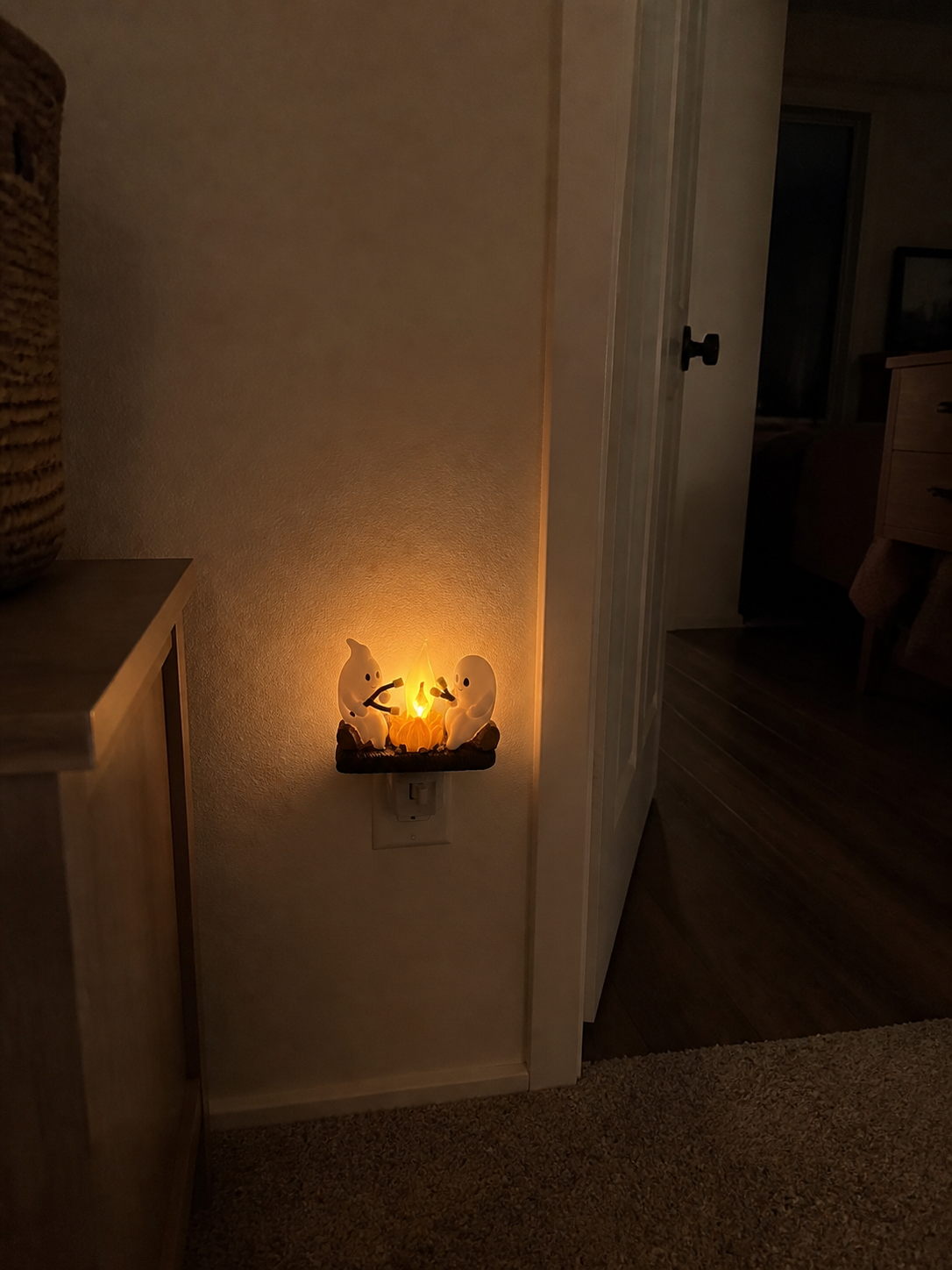 Customer photo of night light in room