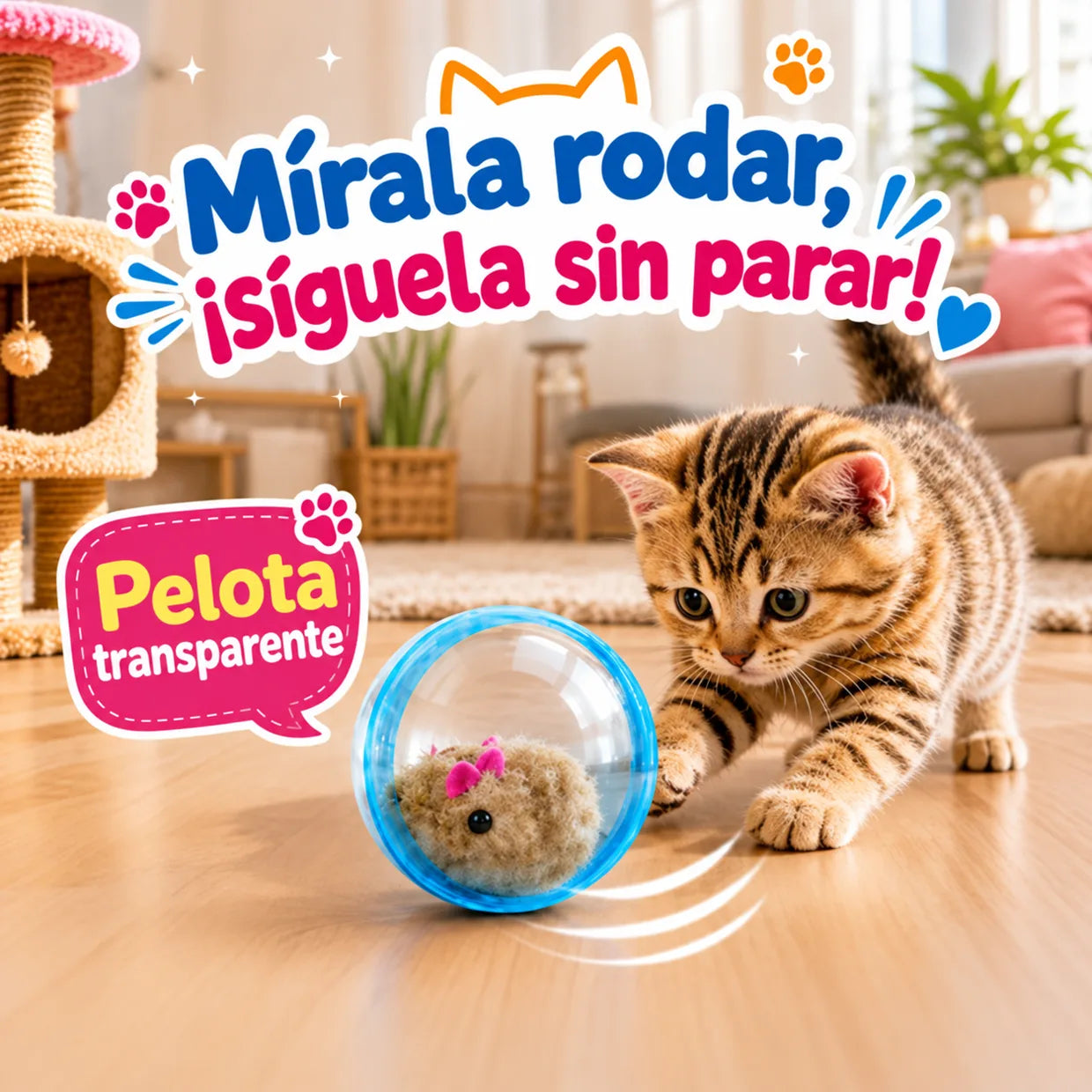 Comparación entre juguete estático y pelota autorrodante para gatos