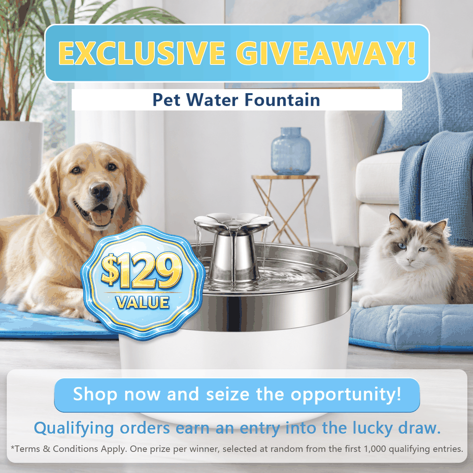 Exclusive giveaway pet water fountain promotion