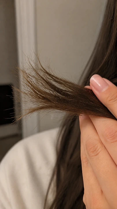 Close-up of dry broken hair ends