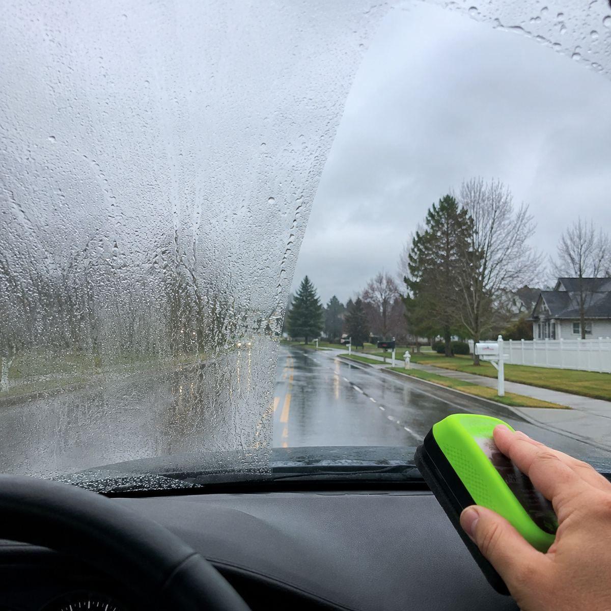 Customer review photo from Lisa C.