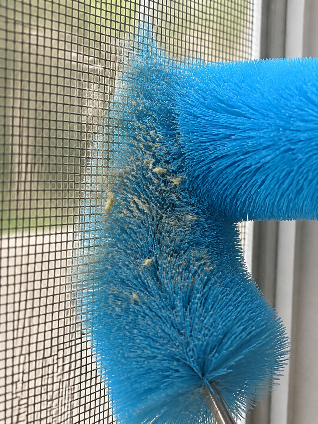 Customer macro photo of blue bristles lifting lint from screen mesh.